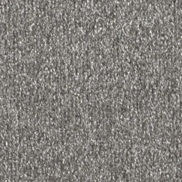 Draufsicht auf Vorwerk Celina 55A7 schmelz Teppichboden mit Preisschild 89,91 €/m²